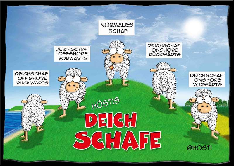 Cartoon Deichschafe