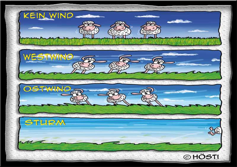 Cartoon Windschafe