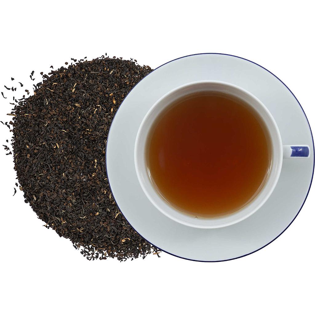 Bester Küstenkapitän