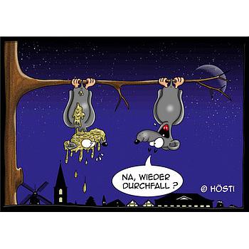 Hösti Postkarte Durchfall