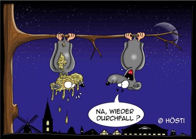 Hösti Postkarte Durchfall