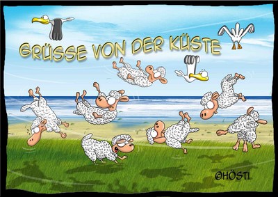 Hösti Postkarte Grüße von der Küste &quot;Schafe&quot;