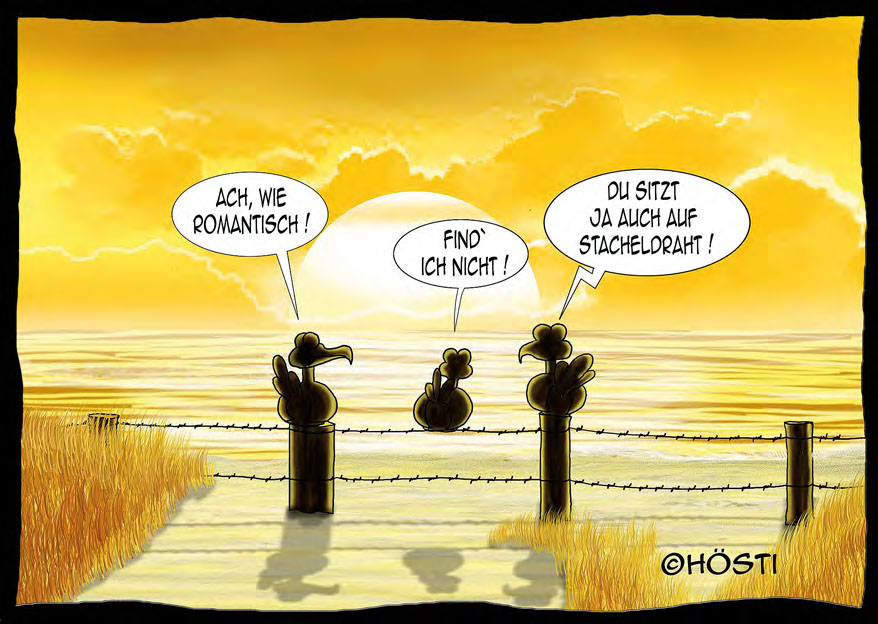 Hösti Postkarte "Arschweh"