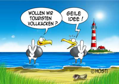 Hissflagge "Touristen vollkacken" 90 x 150cm