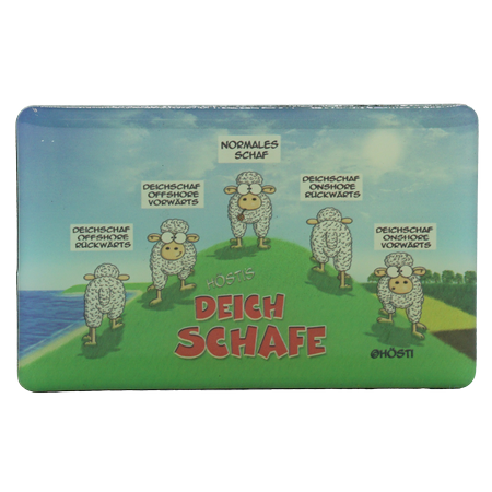 Hösti Foto Magnet   Deichschafe