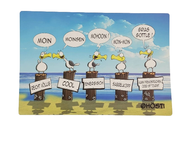 Hösti Platzset Moinsen   ca. 44x30cm Kunststoff