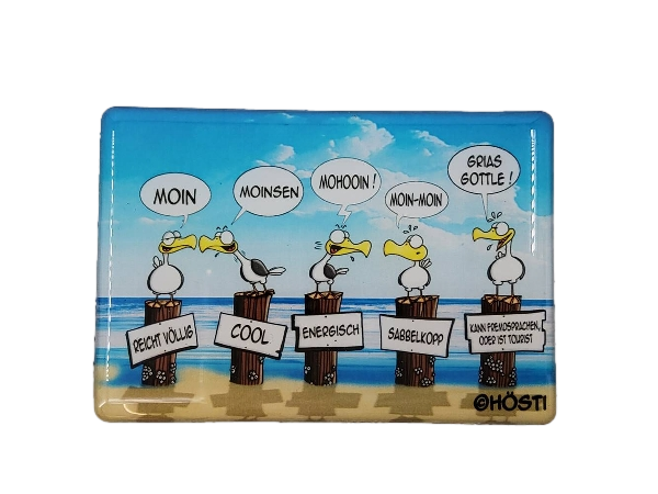 Hösti Foto Magnet ca.8x5cm Moinsen