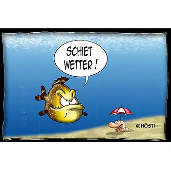 Hösti Postkarte Schiet Wetter!