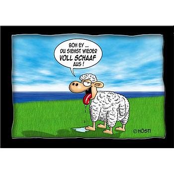 Hösti Postkarte "Voll Schaaf"